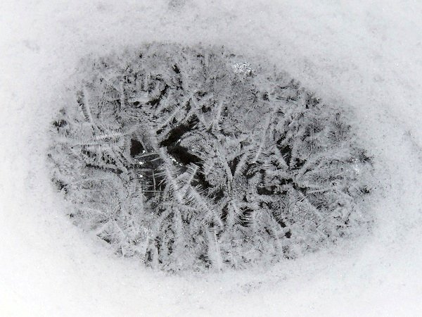 frost egg