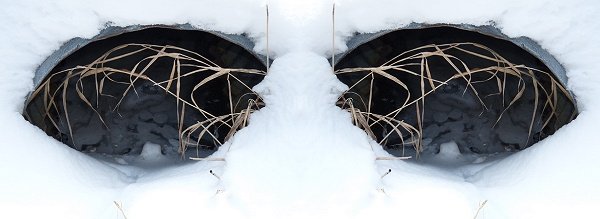culvert sunglasses
