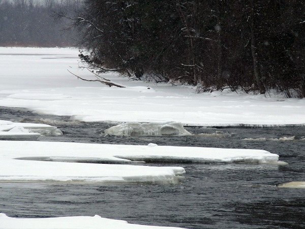 grasse river at chamberlain corners - Feb 1