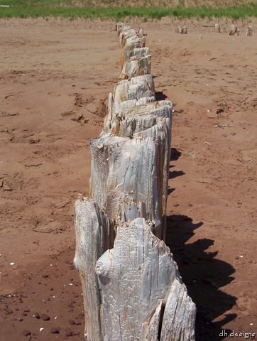 [100_0906[18].jpg]