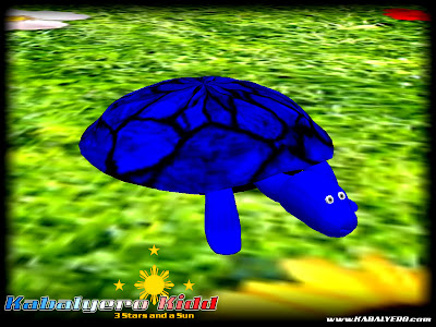 pic_kab_turtles_002.jpg