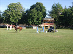 Horse show during the festivals of Burgos.