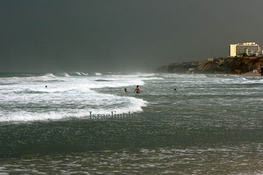 netanya
