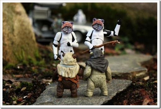 Stormtroopers Insanos