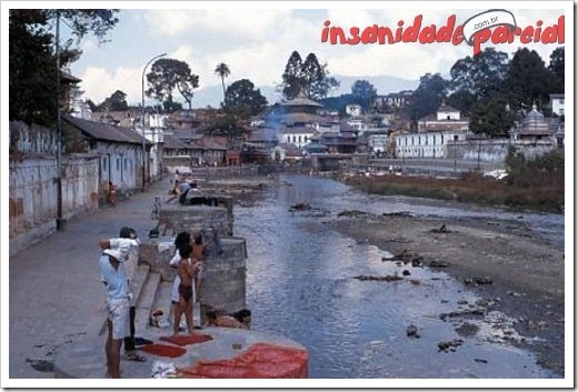 InsanidadeParcial-10_01_11-011