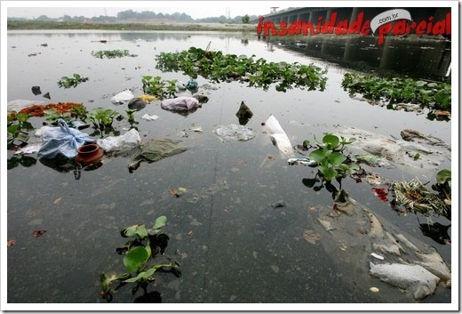 INDIA-ENVIRONMENT-POLLUTION