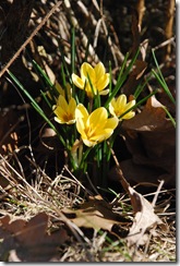 090318 005