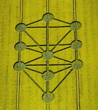3-burderop-down-(near-barbury-castle)-wilts-04-05-97-oilseed-rape-35mm-neg 3-burderop-down-(near-barbury-castle)-wilts-04-05-97-oilseed-rape-35mm-neg