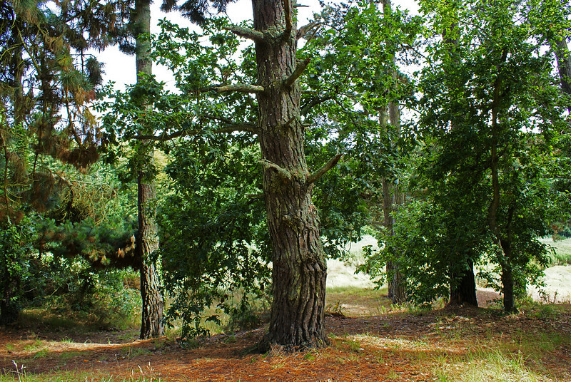 600307698_ePKBJ-L.jpg