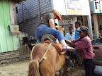 Dominando al caballo