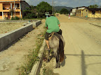 Caballo domado, asi se hace