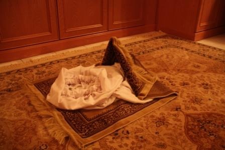 [IMG_9704[2].jpg]