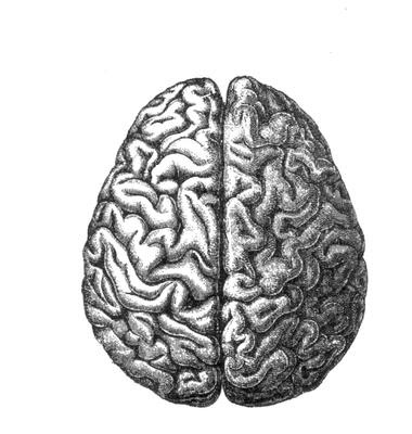 brain.png