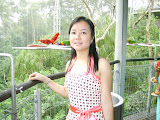 Vườn chim Jurong-Singapore