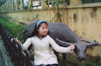 Linh Đàm