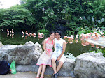 Vườn chim Jurong