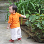 Chip 15 tháng