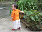 Chip 15 tháng