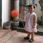 IMG_1441.jpg