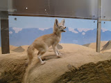 SDC14876.JPG