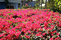 Turks and Caicos Day 5  - 083