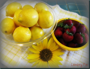 lemons and strawberries wm.jpeg