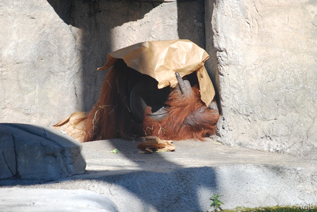 [DSC_1033[10].jpg]