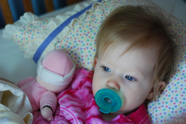 [DSC_0301[7].jpg]