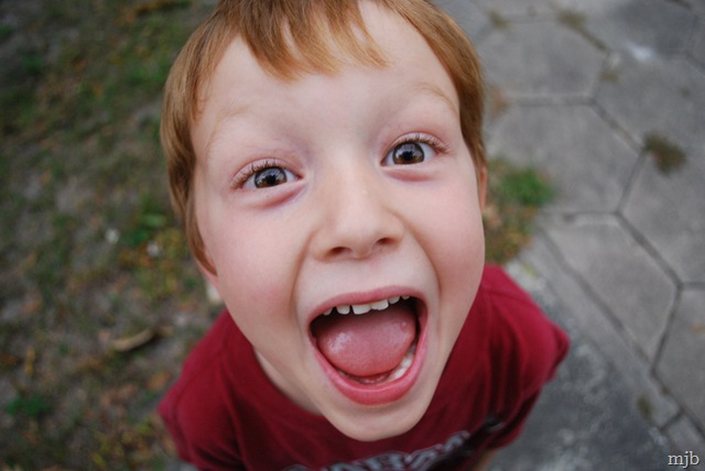 [DSC_0397[2].jpg]