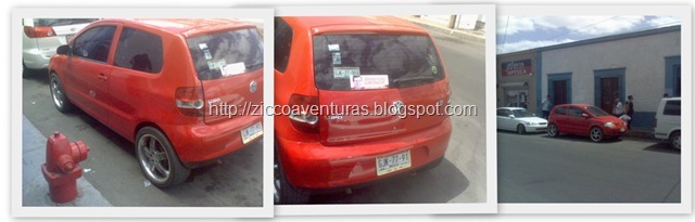 [20090405_carro_hidrante[20].jpg]