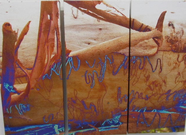 [Margaret MacAdam Scribbly Gum (1635 x 1190)[4].jpg]