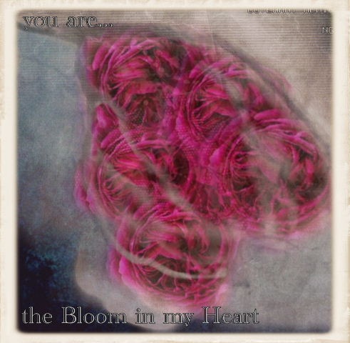 [yu are the bloom in my heart FINAL JPEG[4].jpg]