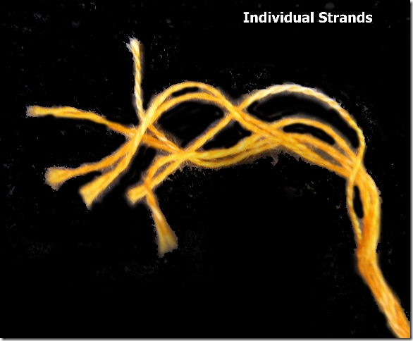 Individual strands Individual strands