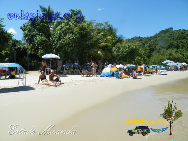 Playa Caribe M117 estado Miranda, Entre las mejores playas de Venezuela