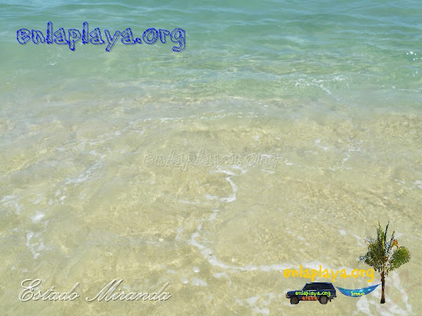 Playa Mono Manso  M111, Estado Vargas, entre las Mejores 100 Playas de Venezuela, top100