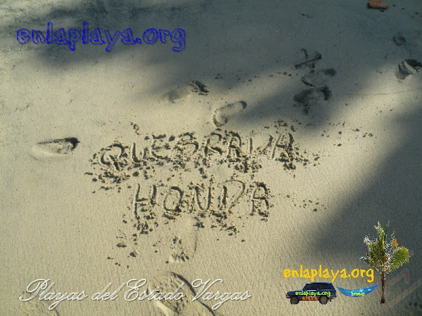Playa Quebrada Honda V014