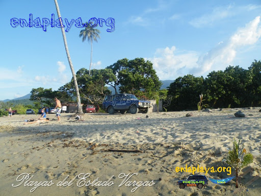 Playa La Sabana V017