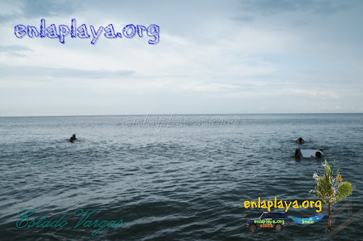 Playa Quebrada Seca V031