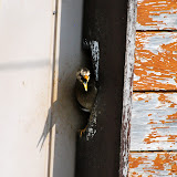 DSC_1173.JPG