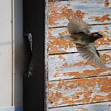 DSC_1174.JPG