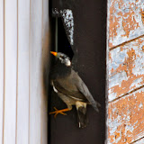 DSC_1167.JPG