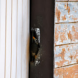 DSC_1176.JPG