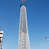 DSC_1231.jpg