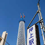 DSC_1234.jpg