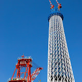 DSC_1241.jpg