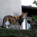 DSC_0710.JPG