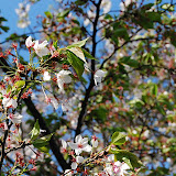DSC_0782.JPG