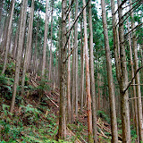 DSC_1037.jpg