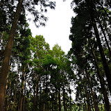 DSC_1038.jpg