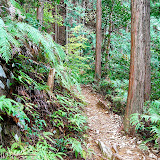 DSC_1047.JPG